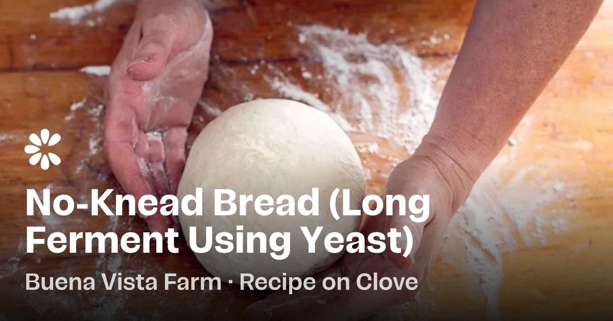 No-Knead Bread (Long Ferment Using Yeast) Recipe | Clove - Kneading Without Ruining Yeast Fermentation